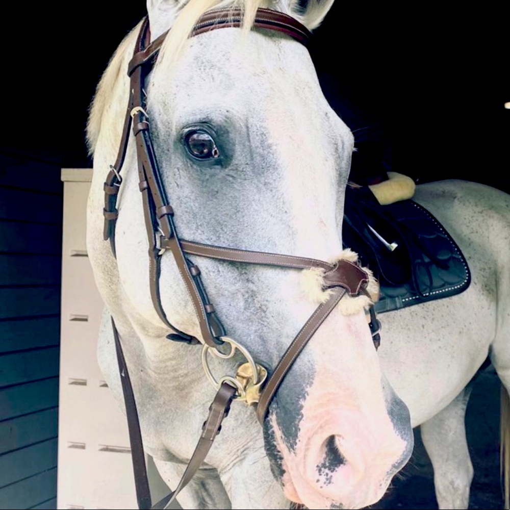 HDR Figure 8 Bridle